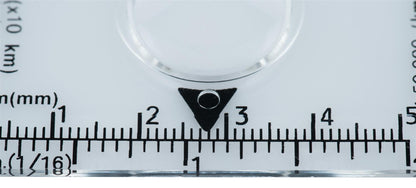 AceCamp Kartenkompass mit Lupe und Umhängeband