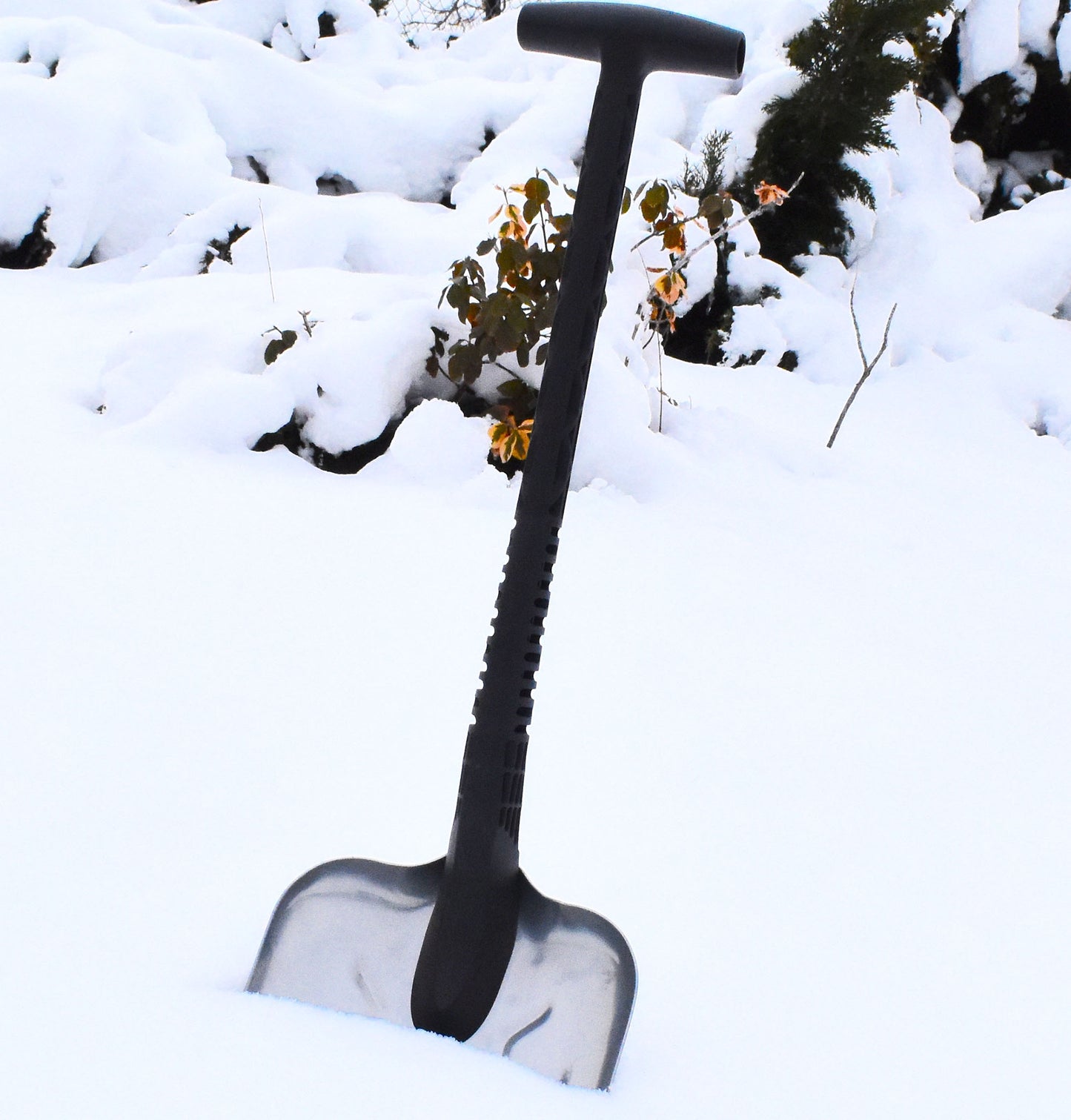 AceCamp Schneeschaufel 2591 – leicht & robust